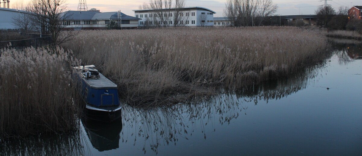Roding Project For Roding River River Roding Mooring Community · Dandelion