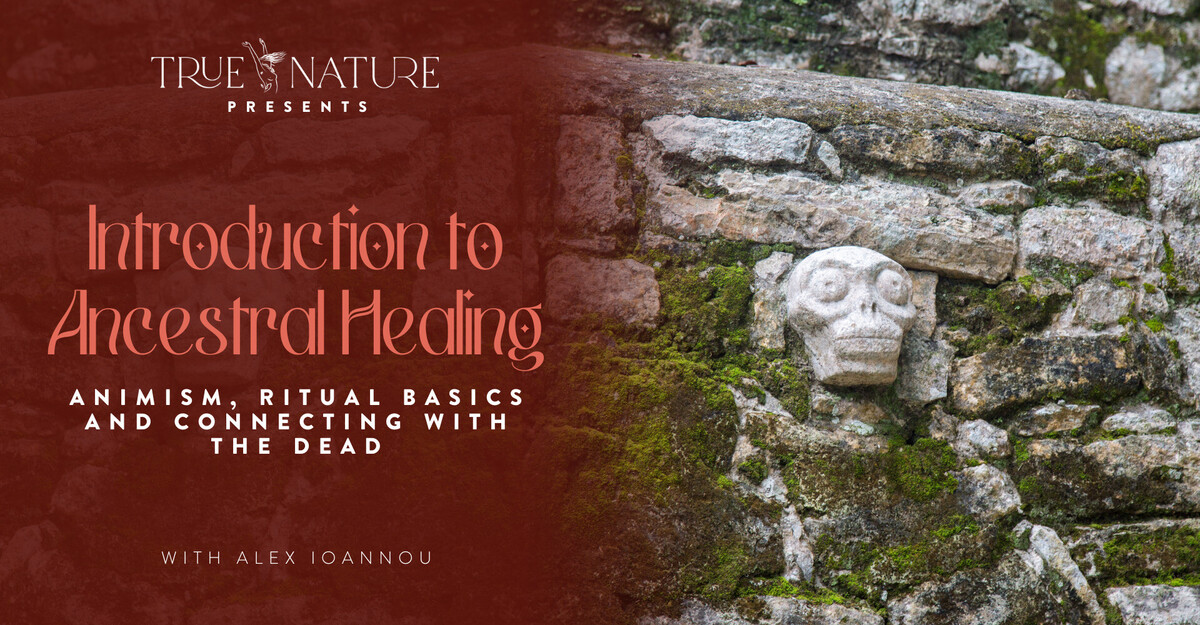 An Introduction to Ancestral Healing · Dandelion
